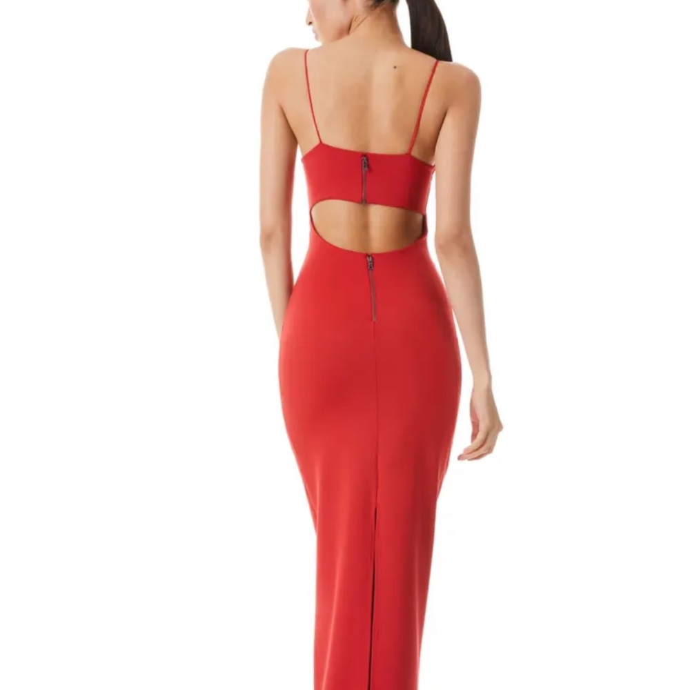Alice + Olivia maxi dress